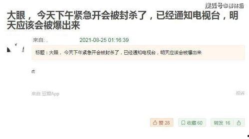 吃瓜巨宠全文免费阅读,甜蜜复仇恋曲